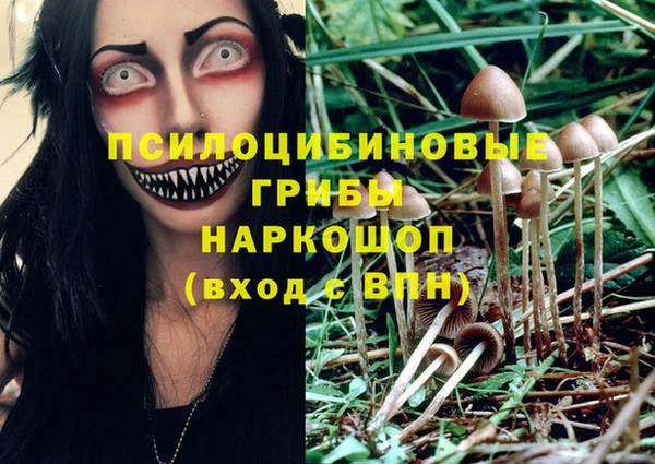 МДМА Арсеньев