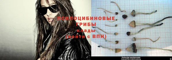 a pvp Аркадак