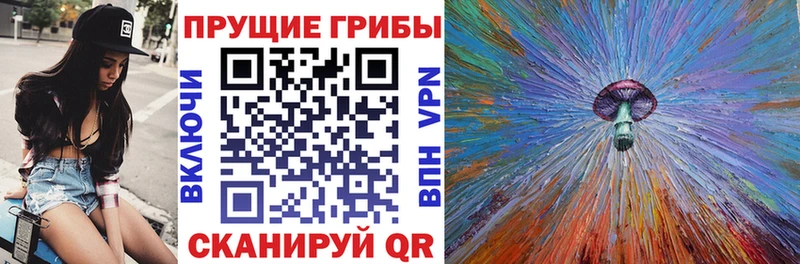 Галлюциногенные грибы GOLDEN TEACHER  Истра 