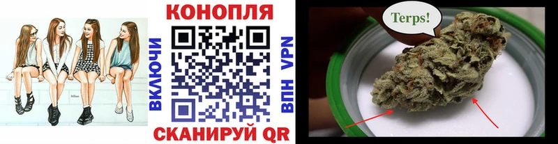 Каннабис SATIVA & INDICA  Истра 